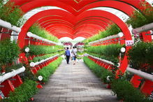 好嗨喲！農(nóng)業(yè)嘉年華五一火爆開局，引爆休閑觀光新風(fēng)尚